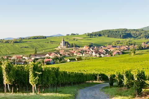 Ab Colmar: Halbtägige Wein-Tour durch das Elsass