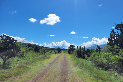 From Oaxaca: MTB Guided Ride to Teotitlan del Valle