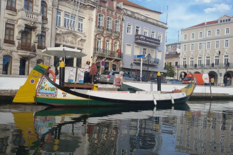 Desde Oporto: Aveiro y Coimbra en Grupo Reducido + Crucero FluvialGrupo pequeño con punto de encuentro