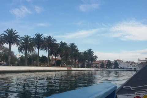 From Porto: Aveiro & Coimbra Small Group Tour + River Cruise Small Group with Meeting Point