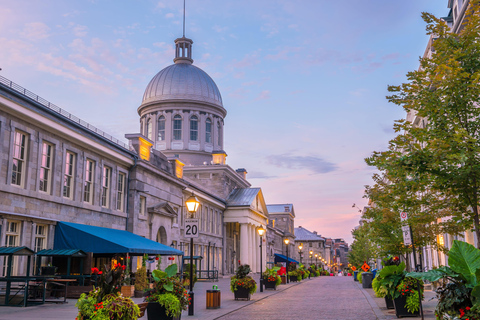 Montreal: Guided tour + Mount Royal & Old Montreal
