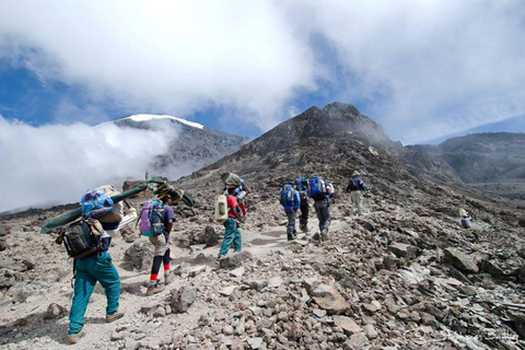 7 Days 6 Nights Machame Route-Kilimanjaro Climbing