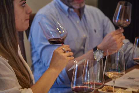 Colchagua Valley: Private Tour