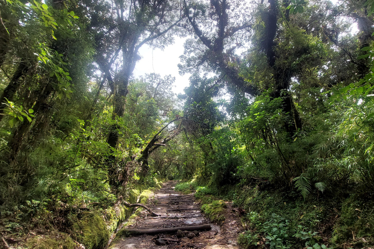 Volcan Barva Heredia Voyage et promenade