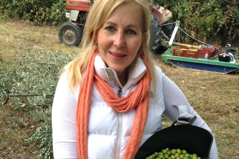 Zbiory oliwek z ProwansjiZbieranie oliwek w Prowansji: całodniowa wycieczka i lokalny lunch