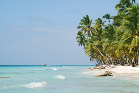 From Punta Cana: Saona Island Tour by Catamaran with Open Bar and Buffet Option with transportation from Punta Cana