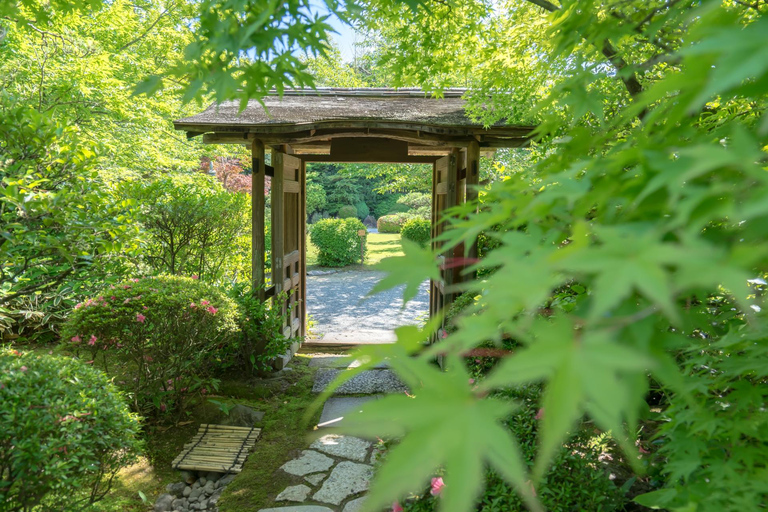 1/2 Day Tour from Nagoya: Inuyama Castle & Tea (small group) English Tour