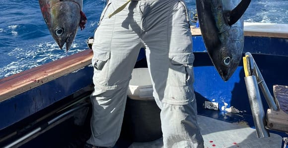 Lanzarote: Bottom Fishing & Coastal Trolling