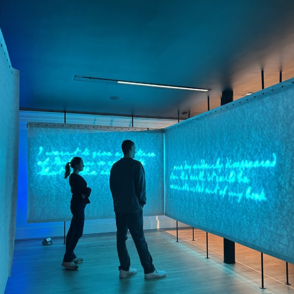 Museum of Literature Ireland (MoLI) All Day Pass