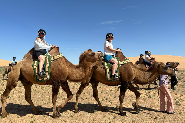 Explore the fascinating Mongolian Gobi Desert