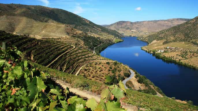 valle del douro degustazione di vini e crociera sul fiume
