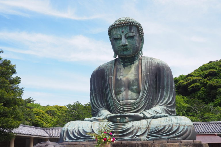 Tokyo : Exclusive Private Day Tour with Personalized Guide 6-Hour Tour