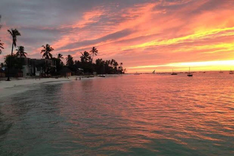 Zanzibar:Mnemba Dolphin Spotting+Aquarium+ Kendwa Beach Escp
