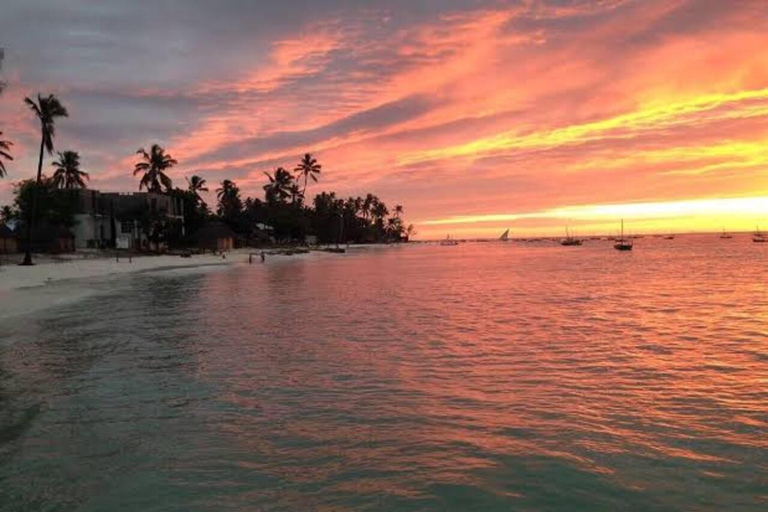 Zanzibar:Mnemba Dolphin Spotting+Aquarium+ Kendwa Beach Escp
