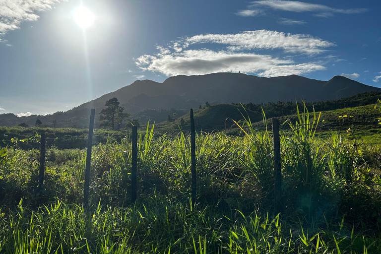 Fajardo : randonnée dans la forêt d'El Yunque, chutes d'eau et toboggan aquatiqueFajardo : Randonnée dans la forêt d'El Yunque, chutes d'eau et toboggan aquatique