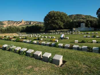 Gallipoli: Tagestour ab Istanbul Gallipoli: Tagestour ab Istanbul
