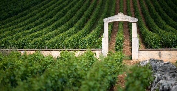 Burgunder Weinberge: Luxuriöse private Touren
