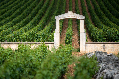 Burgundy Vineyards: Luxury Private Tours
