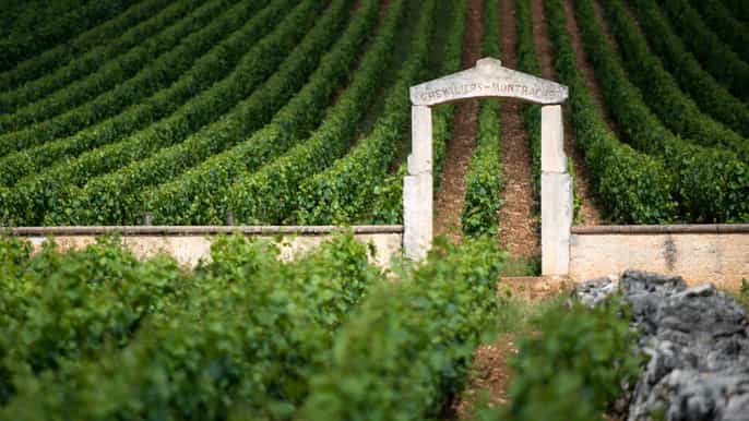 vignobles de bourgogne visites privées de luxe