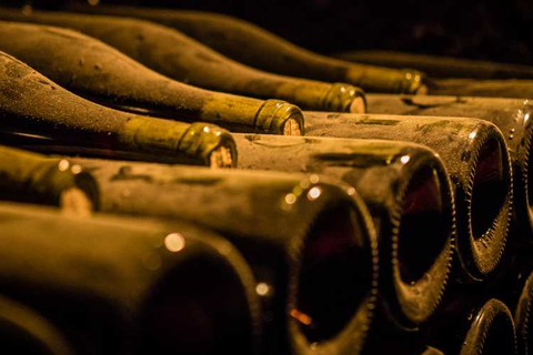 مزارع الكروم في بورغوندي: جولات خاصة فاخرة