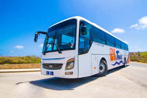 Transfert aller-retour partagé: Reina Beatrix AirportNavette aller simple pour l'aéroport d'Aruba