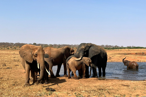 3-Day Amboseli and Tsavo East Safari Tour