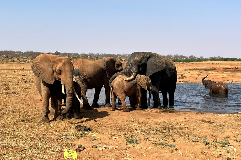 3-Day Amboseli and Tsavo East Safari Tour