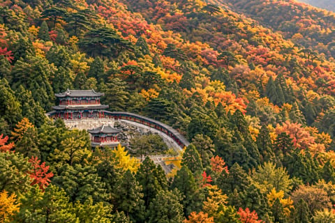 Beijing Autumn: Fragrant Hills Ticket, Car or Private Tour