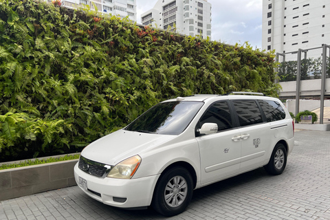 Transfert aéroport SJU à partir de San Juan, hôtels, Airbnb, portsTransferts privés de l&#039;aéroport de San Juan vers ou depuis Río Grande