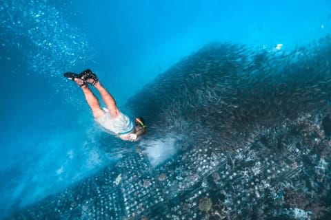 Southwest Lombok Secret Gili Snorkeling and Island Hopping - Image 2