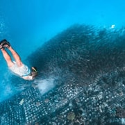 Southwest Lombok Secret Gili Snorkeling and Island Hopping