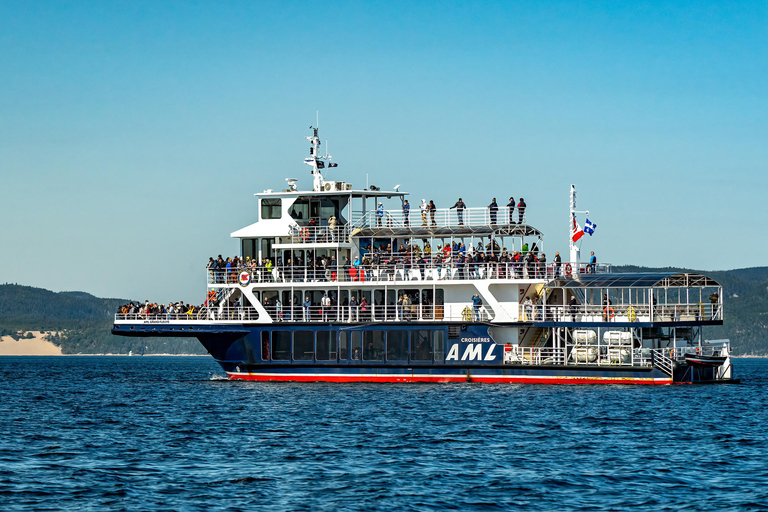Tadoussac/Charlevoix: VIP Lounge/Upper Deck Whale Watching Charlevoix: VIP Lounge Whale Watching Cruise