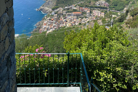 Cinque Terre Tour mit dem Shuttle ab Lucca, Pisa oder La SpeziaCinque Terre Tour mit dem Shuttle ab Lucca und Pisa