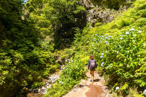 Madeira: Junglekoorts Levada Caldeirao Verde Wandeling SantanaCaniço: Opstapplaats