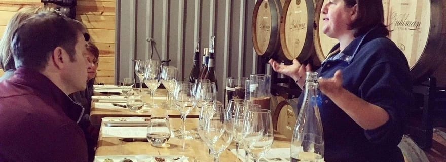 San Antonio : visite guidée de la vallée de la Guadalupe, entre vins et whisky
