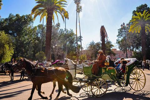 Marrakech: Private 2-Hour Horse-Drawn Carriage Tour