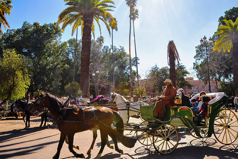 Marrakech: Private 2-Hour Horse-Drawn Carriage Tour