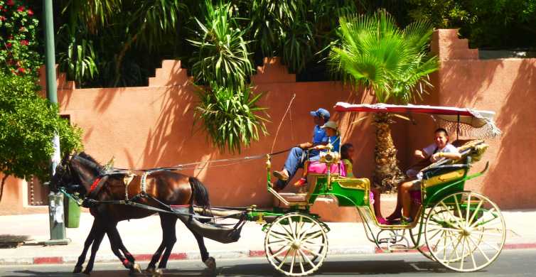 Marrakech: Private 2-Hour Horse-Drawn Carriage Tour