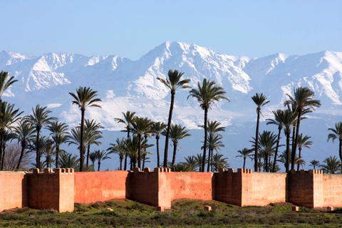 Marrakech: Private 2-Hour Horse-Drawn Carriage Tour