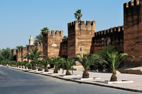 Marrakech: Private 2-Hour Horse-Drawn Carriage Tour