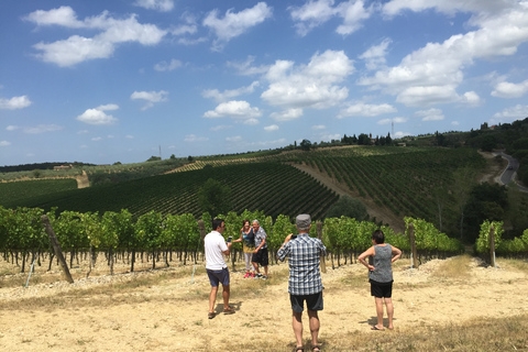 Bella Toscana: San Gimignano and two wineries from Livorno