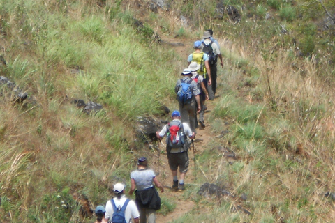 Trekking z Kandy do Ella