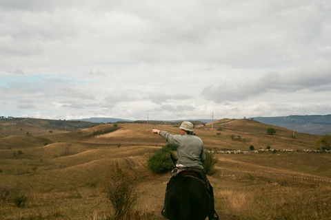 Ronda: Andalusian Panoramic Valley Horseback Experience