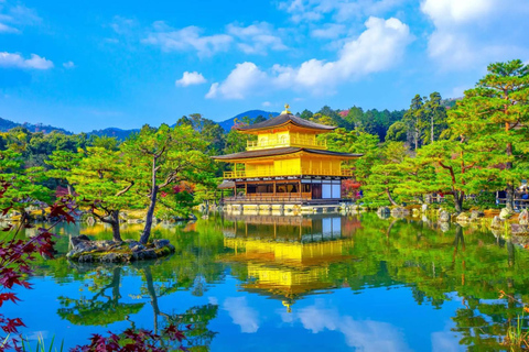 Kyoto/Osaka: Kyoto and Nara Customized Private Guided Tour