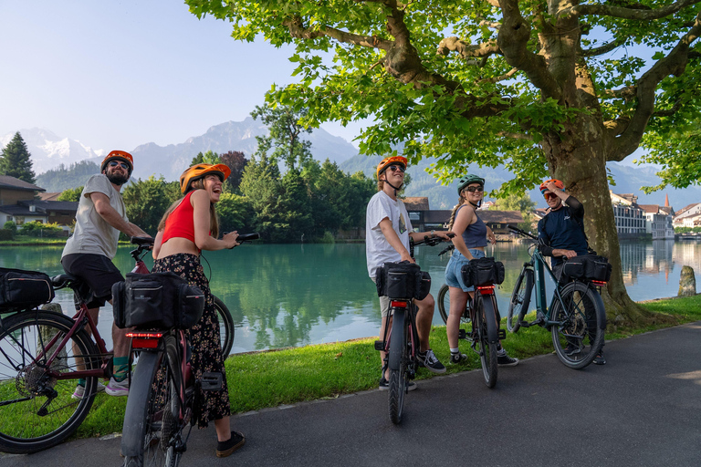 From Zurich: E-Bike Adventure in Interlaken Tour in English