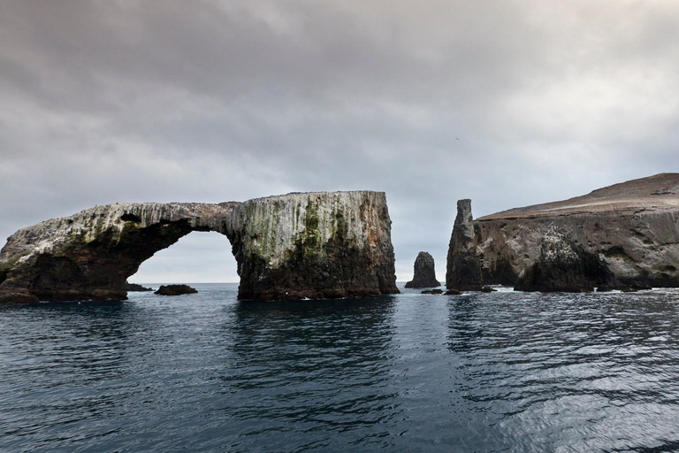 From Orange County: Channel Islands Private Day Tour