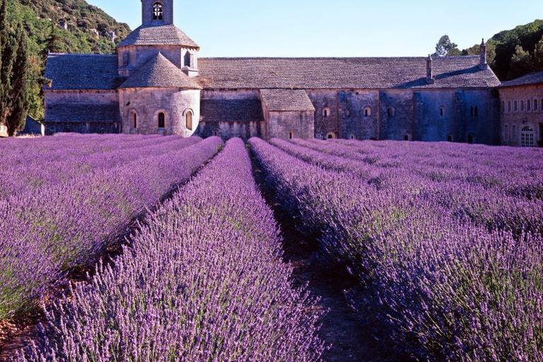 Private Tours - Excursies Côte d'Azur