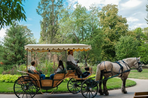 Vichy: Discover the city by horse-drawn carriage with a coachwoman and historian Vichy: Discover the city by horse-drawn carriage with a coachwoman who is also a historian