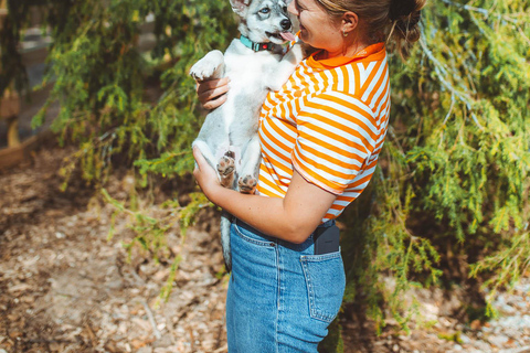 Rovaniemi: Husky Farm Visit