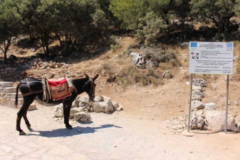 Crète : safari en Land Rover à travers les plateauxDepuis Héraklion : la Crète en safari
